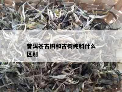 普洱茶古树和古树纯料什么区别