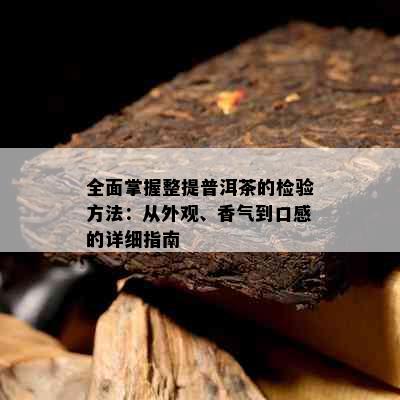 全面掌握整提普洱茶的检验方法：从外观、香气到口感的详细指南