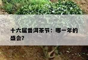 十六届普洱茶节：哪一年的盛会？