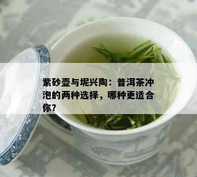 紫砂壶与坭兴陶：普洱茶冲泡的两种选择，哪种更适合你？