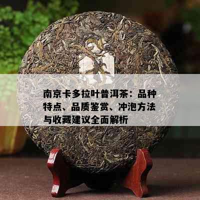 南京卡多拉叶普洱茶：品种特点、品质鉴赏、冲泡方法与收藏建议全面解析