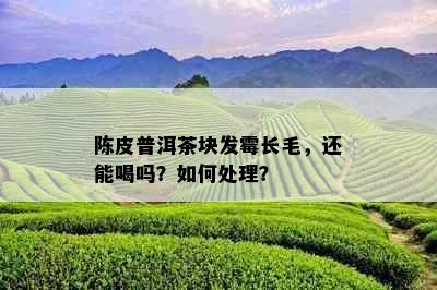 陈皮普洱茶块发霉长毛，还能喝吗？如何处理？