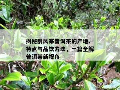 揭秘刮风寨普洱茶的产地、特点与品饮方法，一篇全解普洱茶新视角