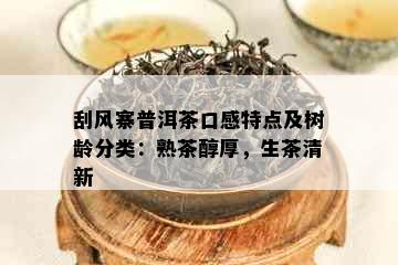 刮风寨普洱茶口感特点及树龄分类：熟茶醇厚，生茶清新