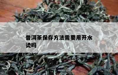 普洱茶保存方法需要用开水烫吗