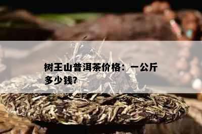 树王山普洱茶价格：一公斤多少钱？