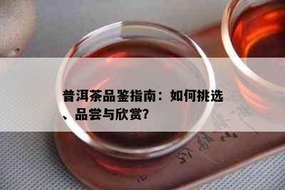 普洱茶品鉴指南：如何挑选、品尝与欣赏？