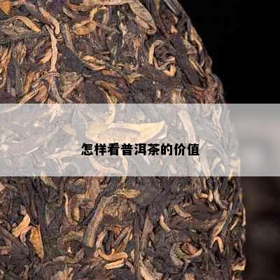 怎样看普洱茶的价值