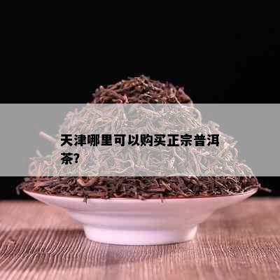 天津哪里可以购买正宗普洱茶？