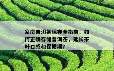 家庭普洱茶保存全指南：如何正确存储普洱茶，延长茶叶口感和保质期？