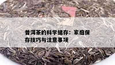 普洱茶的科学储存：家庭保存技巧与注意事项