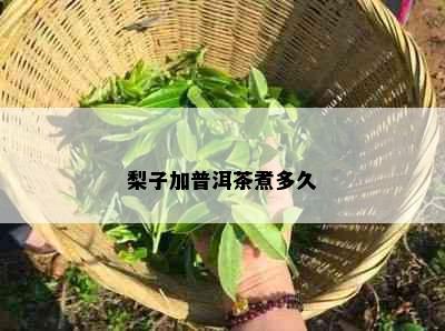 梨子加普洱茶煮多久