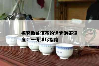 探究熟普洱茶的适宜泡茶温度：一份详尽指南