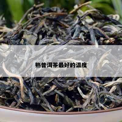 熟普洱茶更好的温度