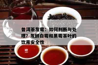 普洱茶发霉：如何判断与处理？发酵白霉和黑霉茶叶的饮用安全性