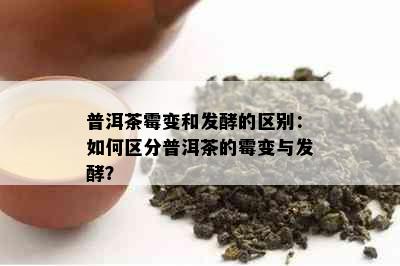 普洱茶霉变和发酵的区别：如何区分普洱茶的霉变与发酵？