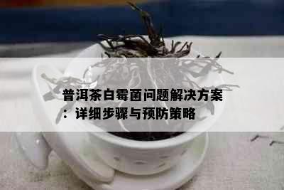 普洱茶白霉菌问题解决方案：详细步骤与预防策略