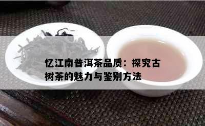 忆江南普洱茶品质：探究古树茶的魅力与鉴别方法