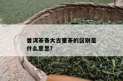 普洱茶各大古董茶的区别是什么意思？