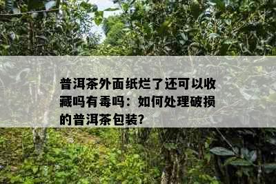 普洱茶外面纸烂了还可以收藏吗有吗：如何处理破损的普洱茶包装？