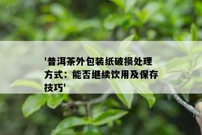 '普洱茶外包装纸破损处理方式：能否继续饮用及保存技巧'