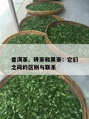 普洱茶、砖茶和黑茶：它们之间的区别与联系