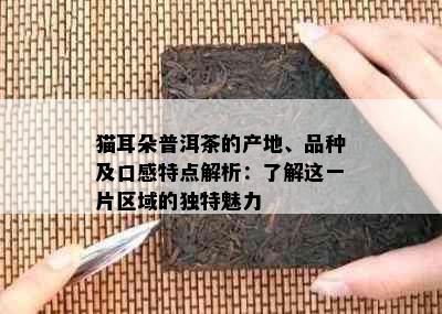 猫耳朵普洱茶的产地、品种及口感特点解析：了解这一片区域的独特魅力