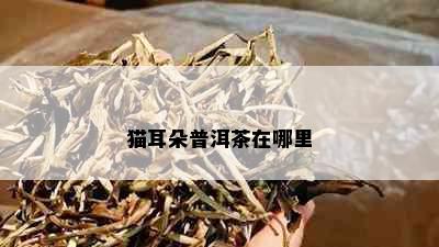 猫耳朵普洱茶在哪里