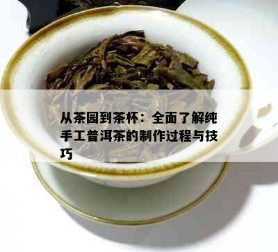 从茶园到茶杯：全面了解纯手工普洱茶的制作过程与技巧