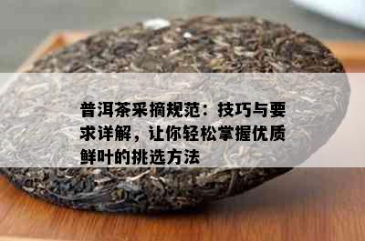 普洱茶采摘规范：技巧与要求详解，让你轻松掌握优质鲜叶的挑选方法