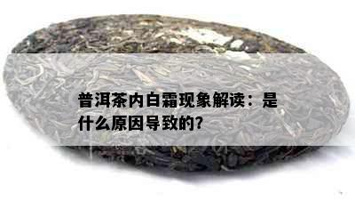 普洱茶内白霜现象解读：是什么原因导致的？