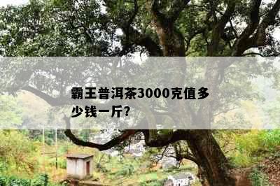 霸王普洱茶3000克值多少钱一斤？