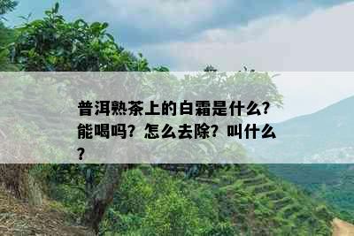 普洱熟茶上的白霜是什么？能喝吗？怎么去除？叫什么？