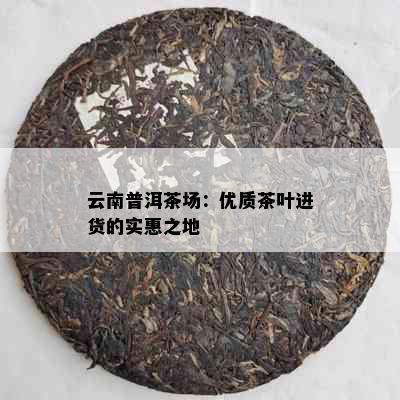 云南普洱茶场：优质茶叶进货的实惠之地