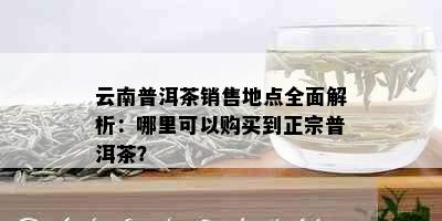 云南普洱茶销售地点全面解析：哪里可以购买到正宗普洱茶？