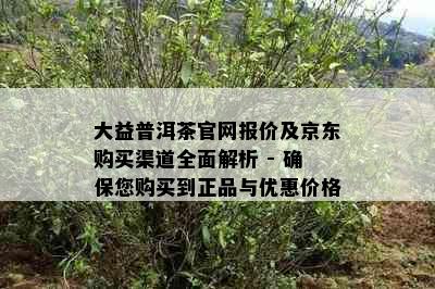 大益普洱茶官网报价及京东购买渠道全面解析 - 确保您购买到正品与优惠价格