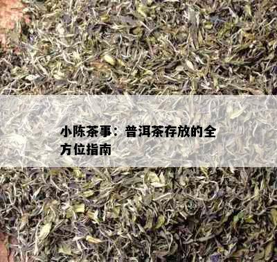 小陈茶事：普洱茶存放的全方位指南