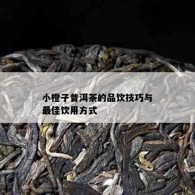 小橙子普洱茶的品饮技巧与更佳饮用方式