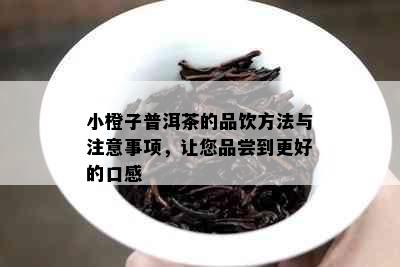 小橙子普洱茶的品饮方法与注意事项，让您品尝到更好的口感