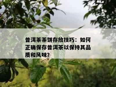 普洱茶茶饼存放技巧：如何正确保存普洱茶以保持其品质和风味？