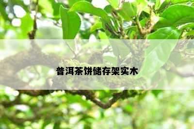 普洱茶饼储存架实木