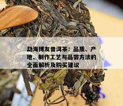 勐海博友普洱茶：品质、产地、制作工艺与品尝方法的全面解析及购买建议