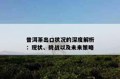 普洱茶出口状况的深度解析：现状、挑战以及未来策略