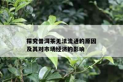 探究普洱茶无法流通的原因及其对市场经济的影响