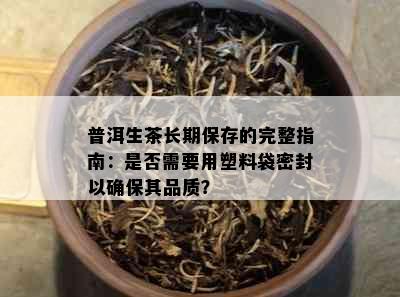 普洱生茶长期保存的完整指南：是否需要用塑料袋密封以确保其品质？