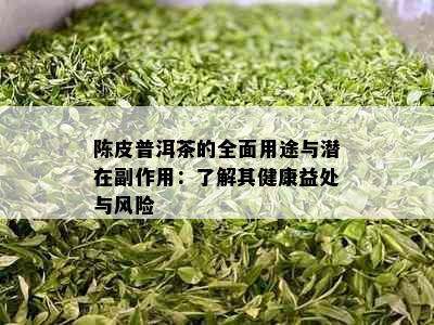 陈皮普洱茶的全面用途与潜在副作用：了解其健康益处与风险