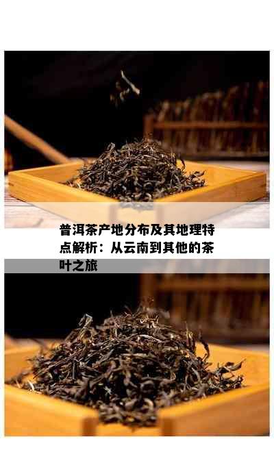 普洱茶产地分布及其地理特点解析：从云南到其他的茶叶之旅