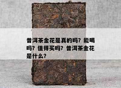 普洱茶金花是真的吗？能喝吗？值得买吗？普洱茶金花是什么？