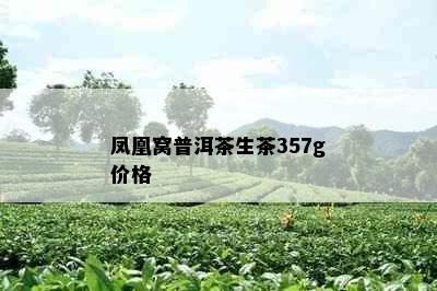 凤凰窝普洱茶生茶357g价格