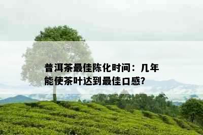 普洱茶更佳陈化时间：几年能使茶叶达到更佳口感？